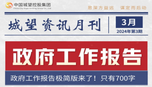 城望资讯3月刊丨政府工作报告；进一步推动一揽子化债方案落地；超长期特别国债将投向这些重点领域