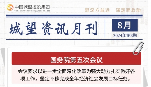 城望资讯8月刊丨不得增加隐性债务；江苏组建成立省数据集团；优化国有资本考核与评价机制